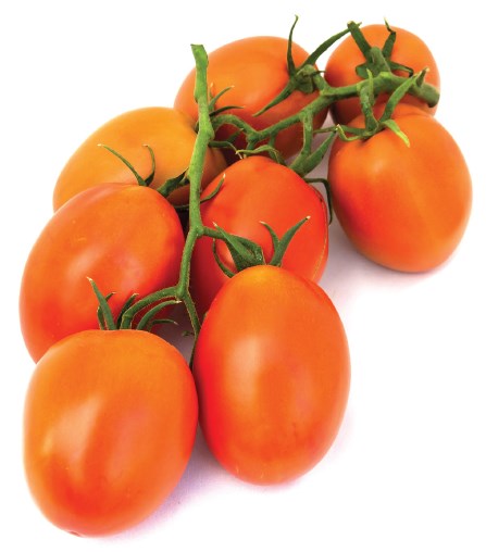 Tomate - Agroservicios Buenavista